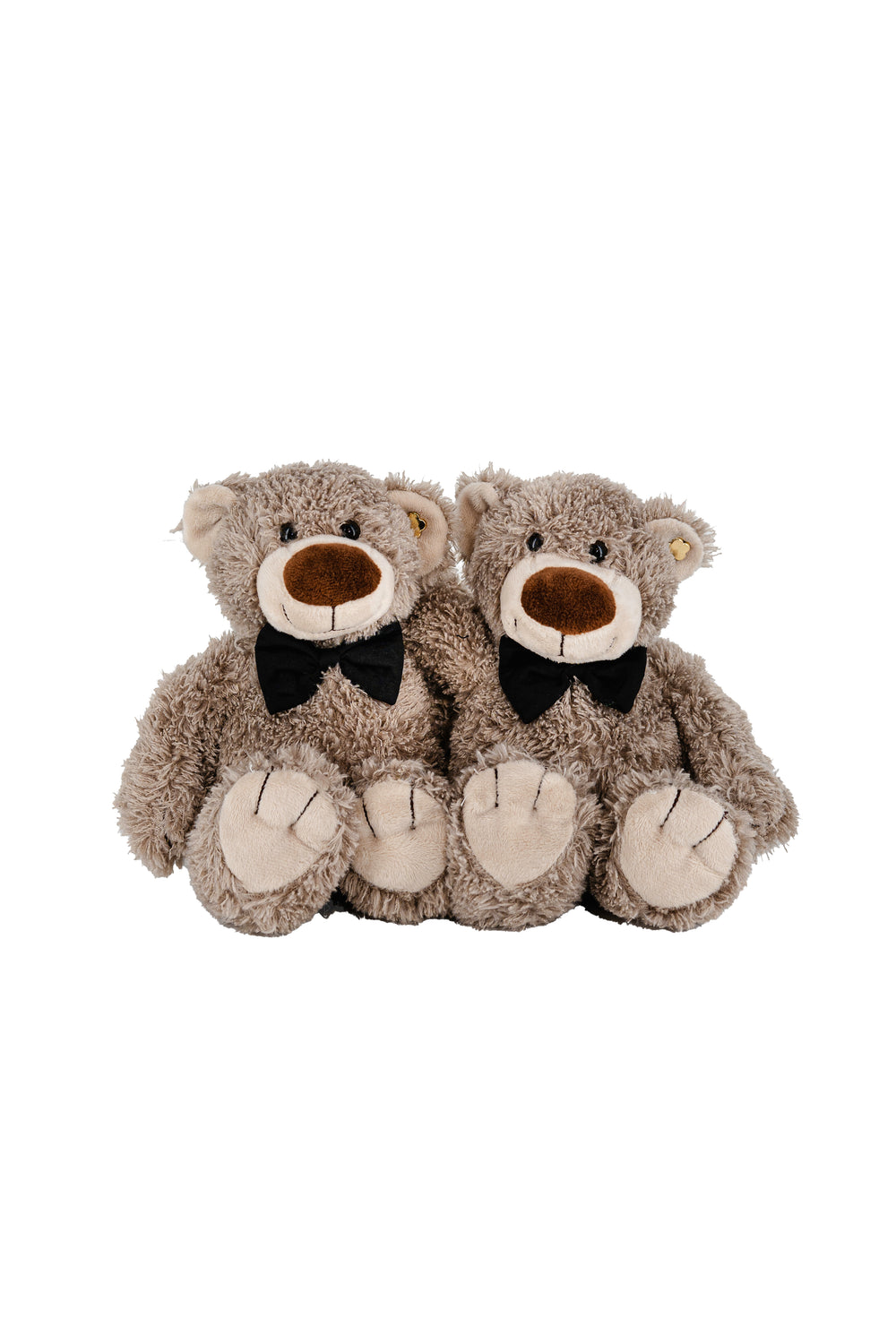 Teddybär