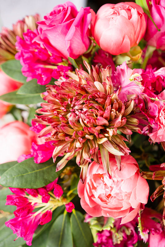 PINK FLOWER BOMB