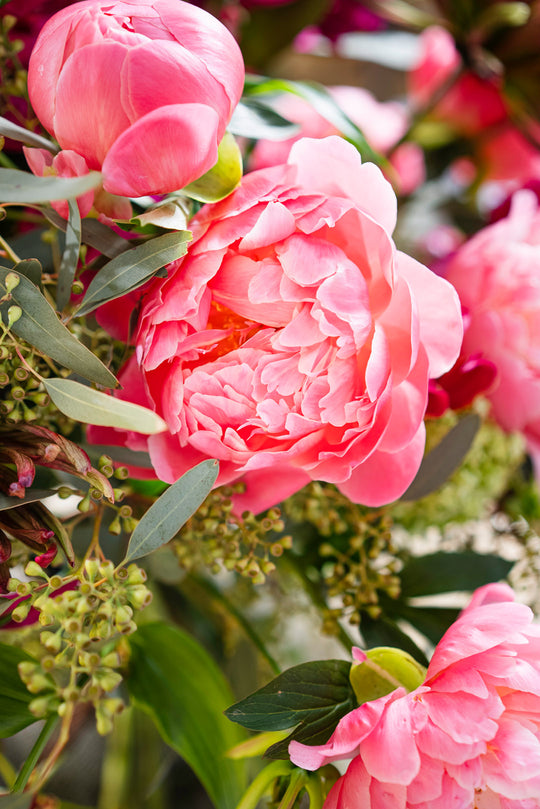 PINK FLOWER BOMB